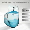 Skin dán chuột Logitech MX Master 2, 2s, 3, 3s mẫu cá vui xanh Skin dán chuột Logitech MX Master 2, 2s, 3, 3s mẫu cá vui xanh